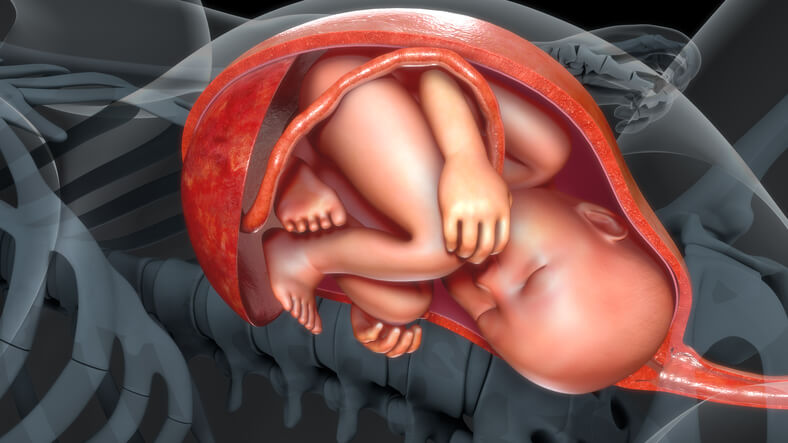 foster til termin i livmoderen