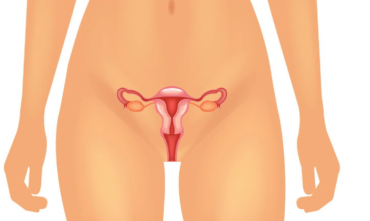 Vagina pics