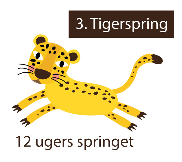 tigerspring 3. 12 ugers springet