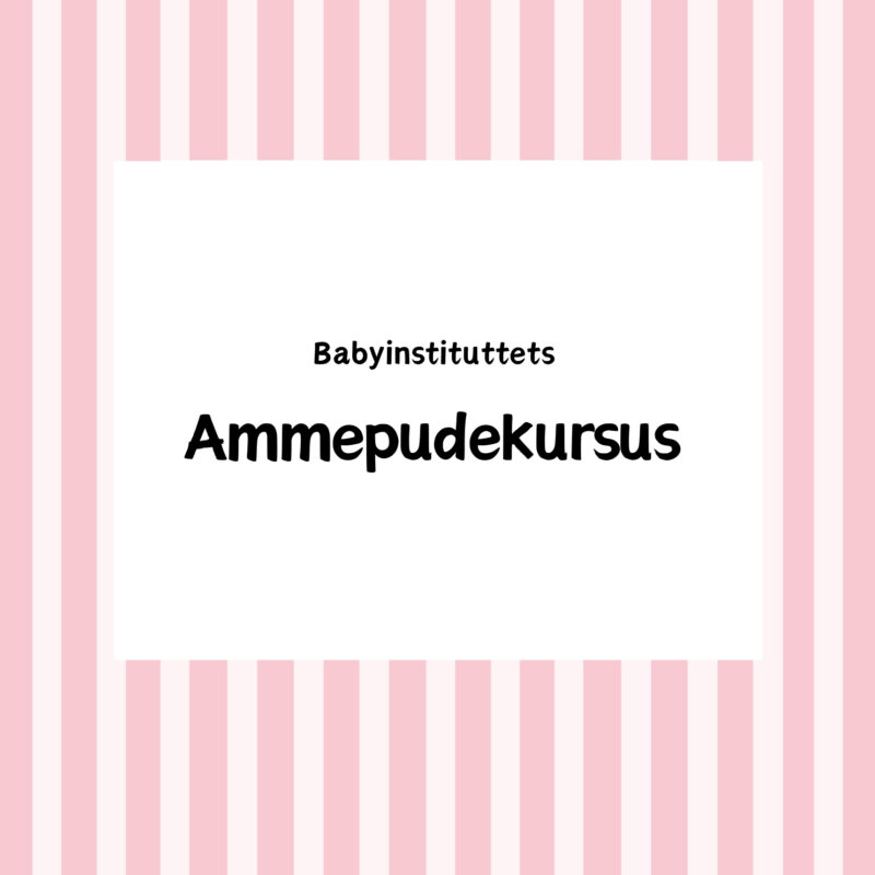 Ammepudekursus