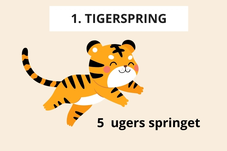 1 tigerspring