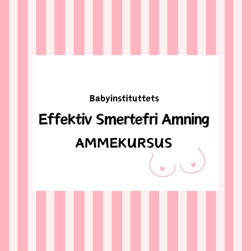 Ammekursus