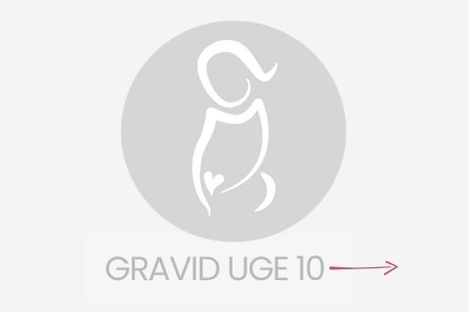 gravid uge 10