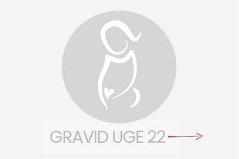 gravid uge 22