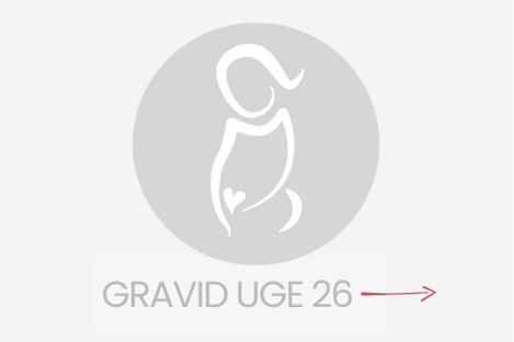 gravid uge 26