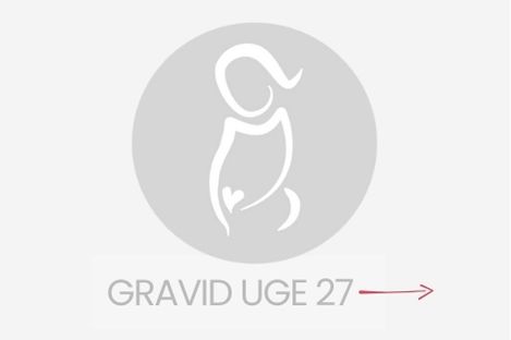 gravid uge 27