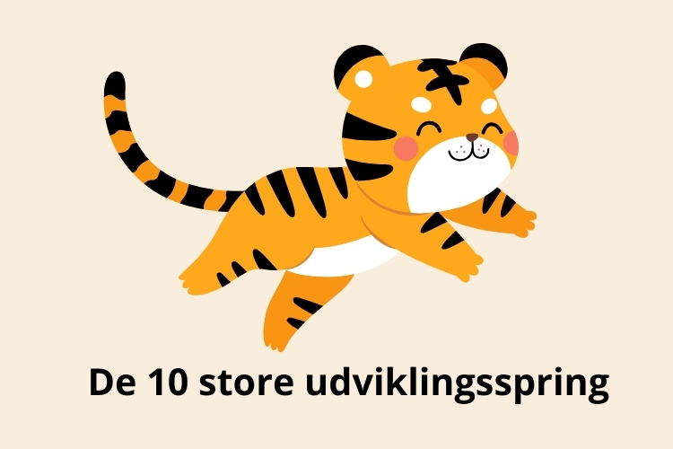 udviklingsspring