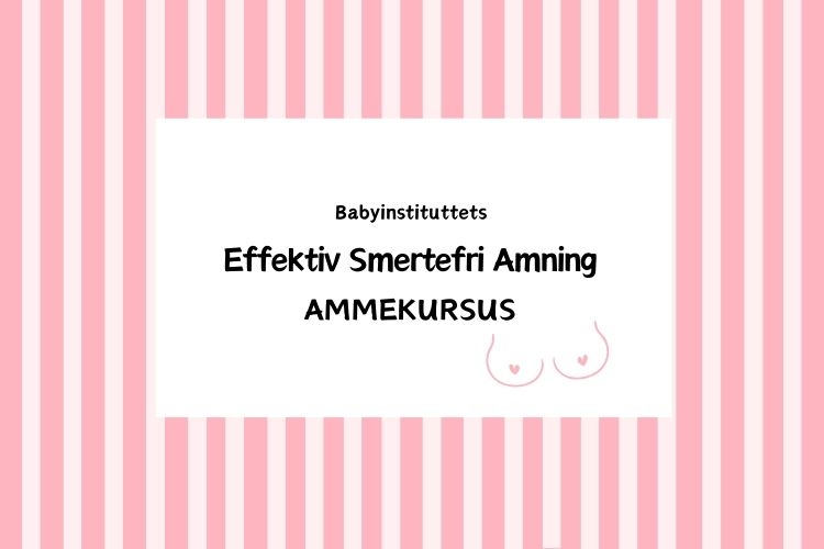 ammekursus