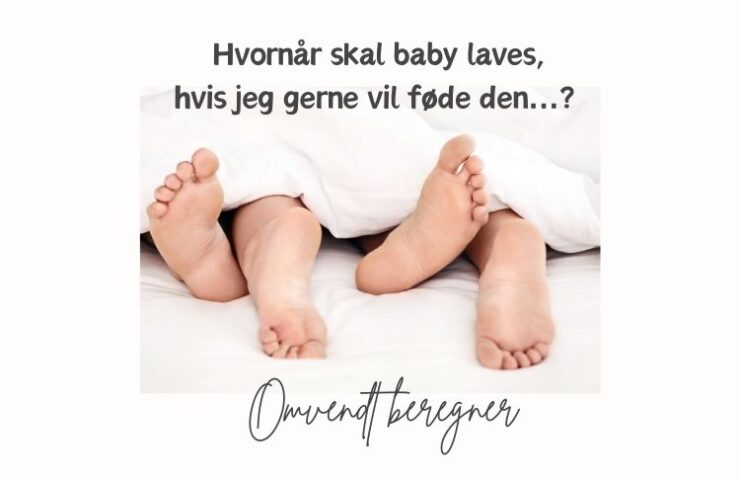 omvendt-beregner-babyinstituttet