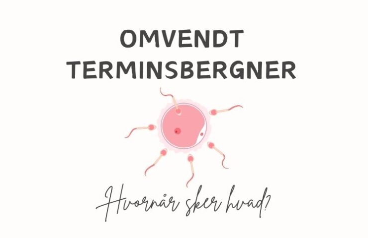 omvendt-terminsberegner-babyinstituttet