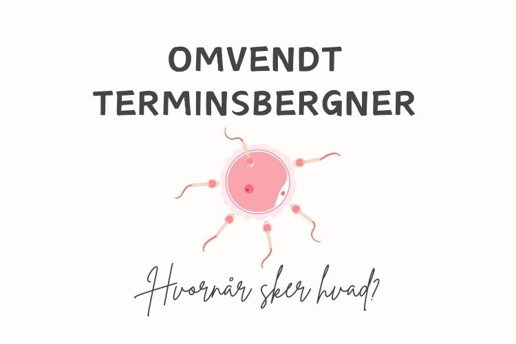 omvendt-terminsberegner-babyinstituttet