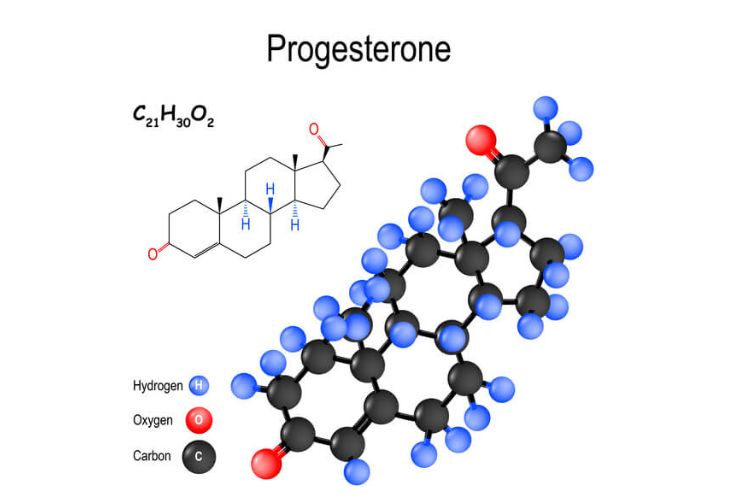 progesteron-graviditet