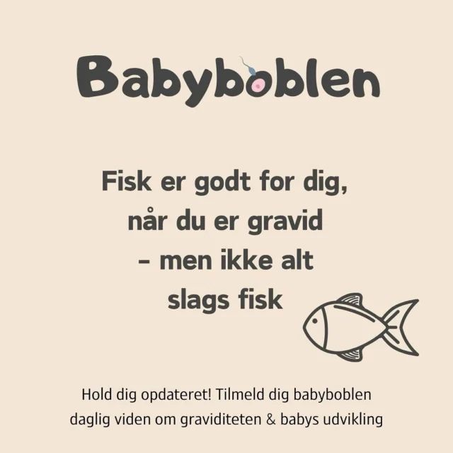 Når du et tilmeld Babyboblen med jordemoder Ditte Bach, vil du dag 81 i din graviditet kunne læse om fisk, når du er gravid. Hvor meget sundhedsstyrelsen anbefaler, man får af fisk, men også hvilke slags fisk du skal undgå, når du er gravid. 

Tilmeld dig Babyboblen via link i bio 
Eller her: 
www.babyinstituttet.dk/babyboblen

#babyboblen