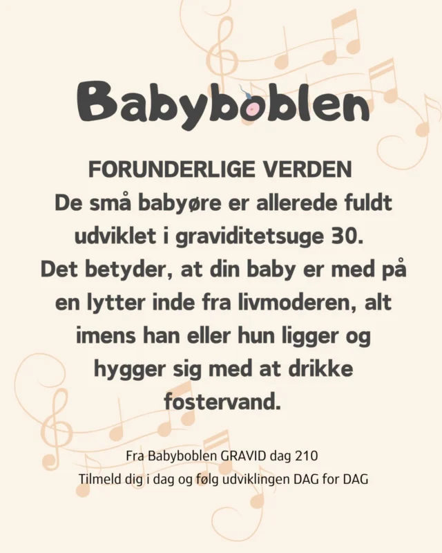 Din baby kan allerede i graviditeten høre hvad du siger. Ja, ikke helt i starten, men fra ørene er udviklet. Herefter vil din baby ligge og gøre sig erfaringer med verden udenfor og dens lyde. 

Det hele vil selvfølgelig lyde anderledes gennem fostervandet, end når din baby kommer til verden. 

Denne stump viden er en del af den viden du får i Babyboblen. Få jordemoderens daglige opdateringer inde fra livmoderen og om at være gravid. Guldkorn om udviklingen der fortsætter de første 100 dage efter fødslen.

Du kommer ind i babyboblen her.

https://www.babyinstituttet.dk/babyboblen

Husk at indsætte din terminsdato eller din babys fødselsdato. Det er det, der sætter det hele i gang, sammen med din tilmelding selvfølgelig. 

❤️ // Din jordemoder Ditte Bach.